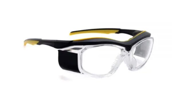 Radiation Glasses Model F10