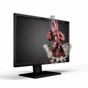 Barco Eonis 3D (MDRC‑8127)